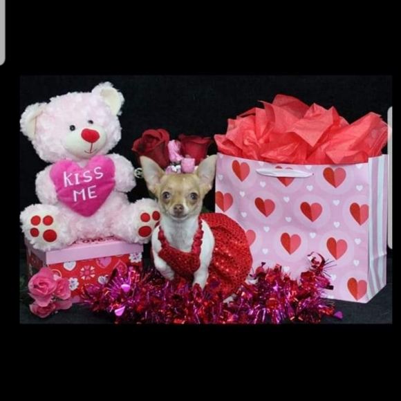 Meet your Posher, Teresa - Picture 2 of 4